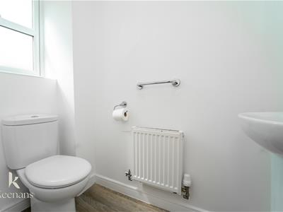 Picture 15